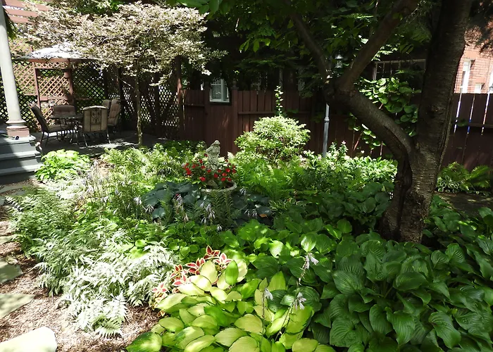 Bed & Breakfast Garden